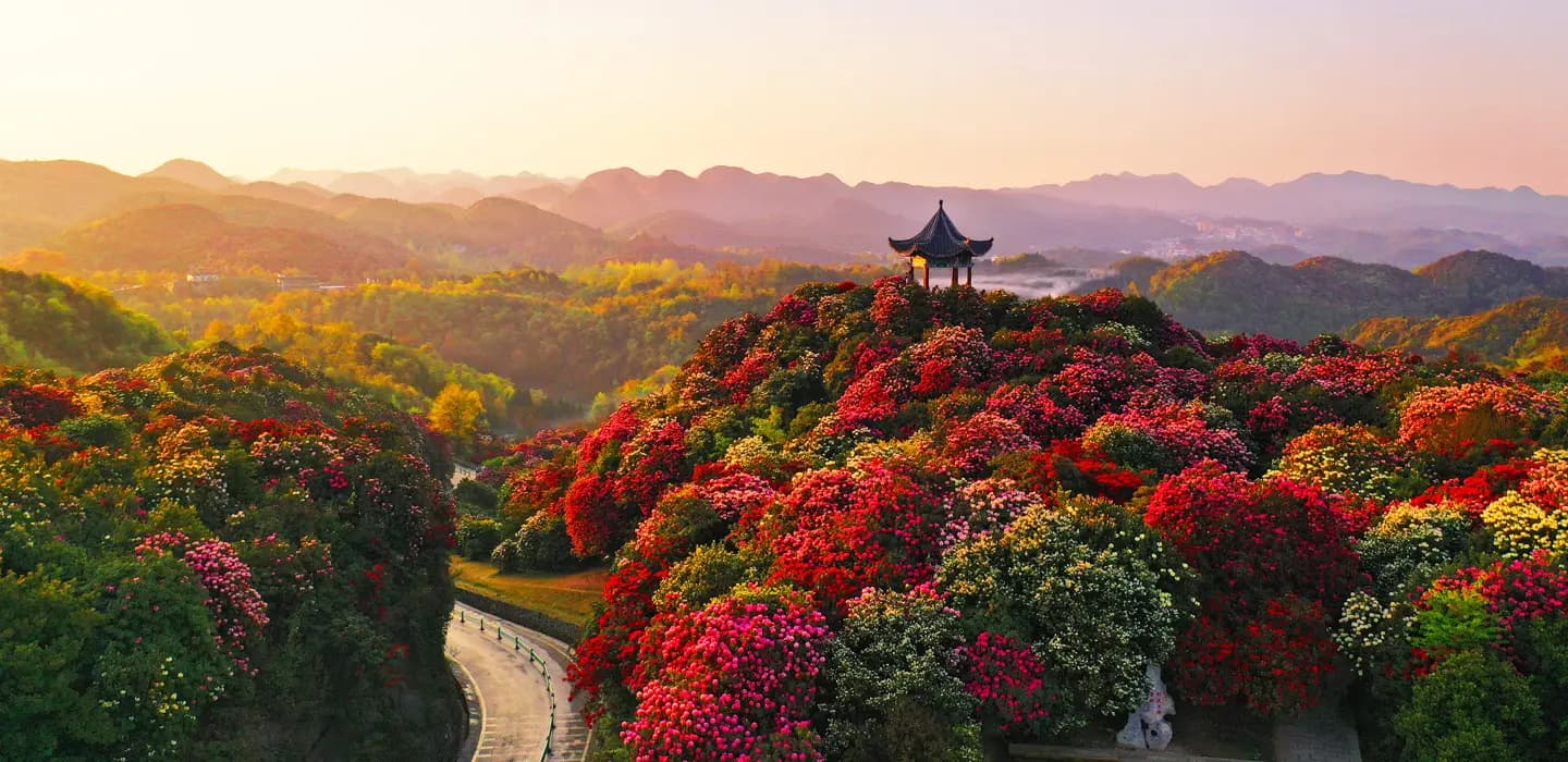 【貴州】百里杜鵑花開・雙世遺黃果樹瀑布・荔波大小七孔・織金洞｜文化考察交流團、無購物